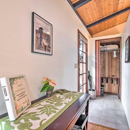 Cozy Volcano Studio With Phenomenal Rainforest Views Mountain View المظهر الخارجي الصورة