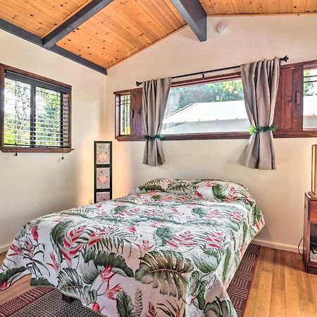 Cozy Volcano Studio With Phenomenal Rainforest Views Mountain View المظهر الخارجي الصورة