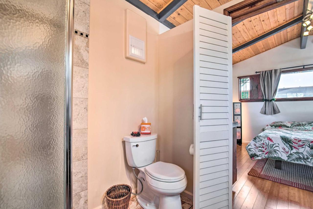 Cozy Volcano Studio With Phenomenal Rainforest Views Mountain View المظهر الخارجي الصورة