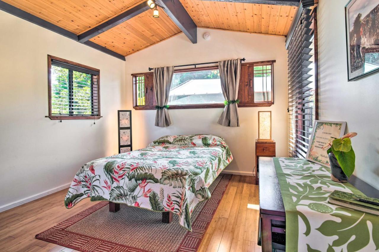 Cozy Volcano Studio With Phenomenal Rainforest Views Mountain View المظهر الخارجي الصورة