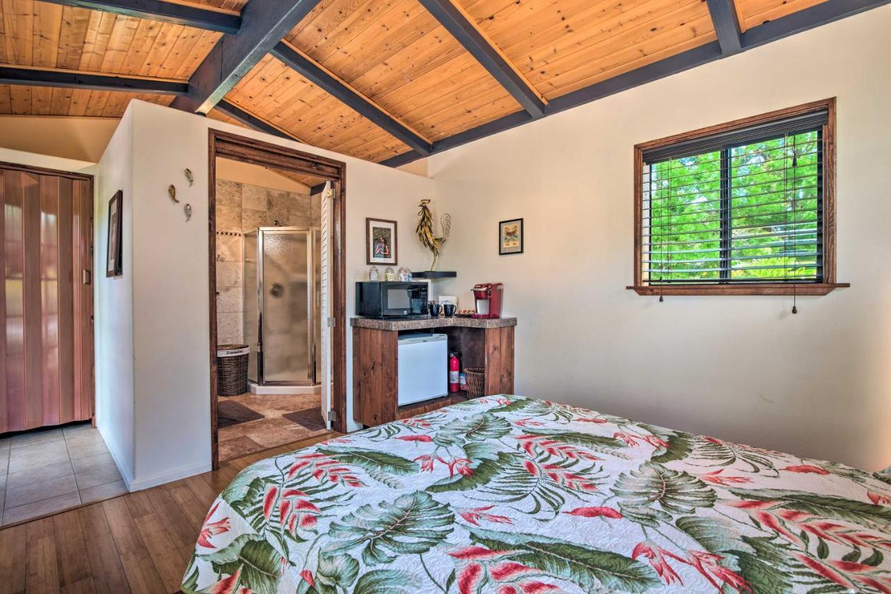 Cozy Volcano Studio With Phenomenal Rainforest Views Mountain View المظهر الخارجي الصورة