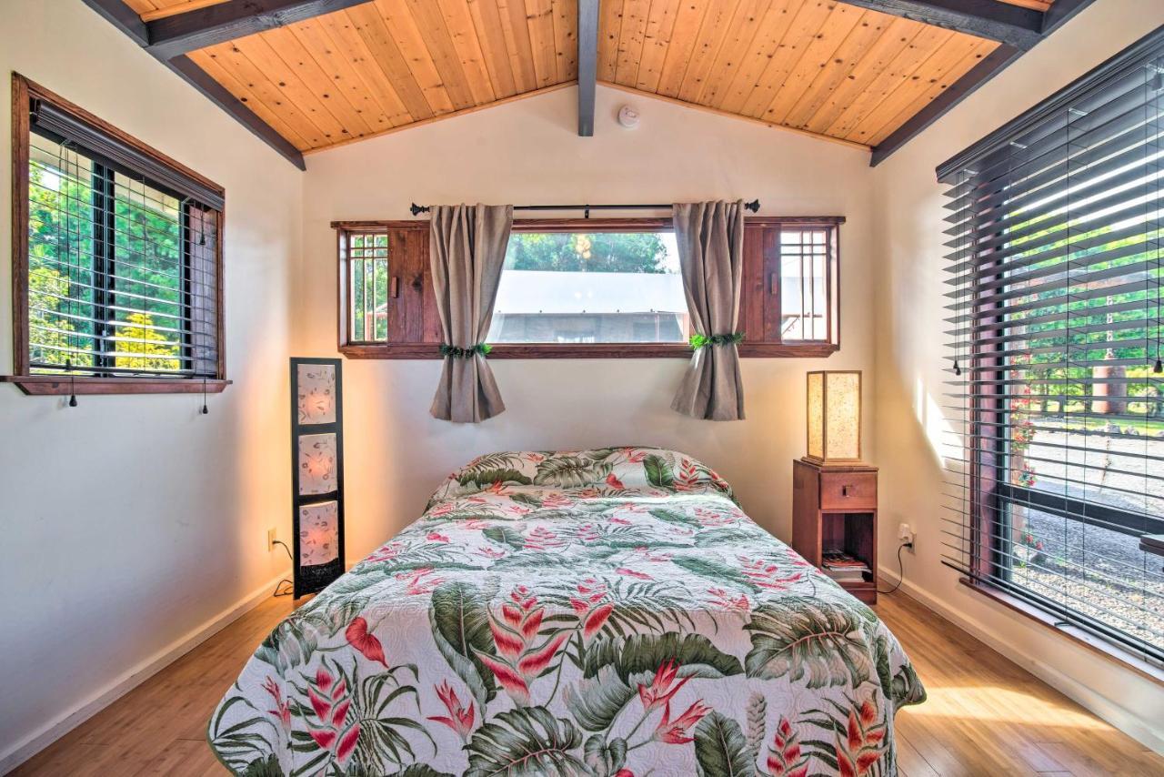 Cozy Volcano Studio With Phenomenal Rainforest Views Mountain View المظهر الخارجي الصورة