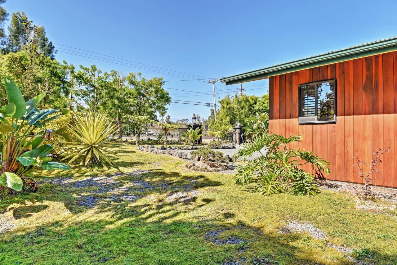 Cozy Volcano Studio With Phenomenal Rainforest Views Mountain View المظهر الخارجي الصورة
